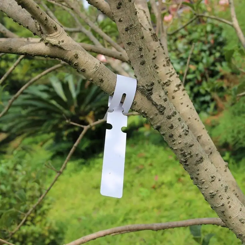 BESTOYARD 100pcs Plastic Plant Hanging Tags Nursery Garden Lables Tags Tree Tags Large Writing Surface