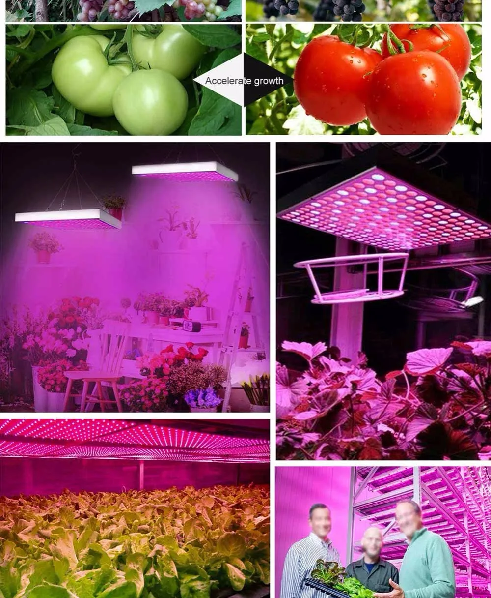 Светодиодный светильник для выращивания растений 25 Вт 45 Вт, полный спектр для теплицы, тент для рассада растений и цветов, светильник для выращивания растений