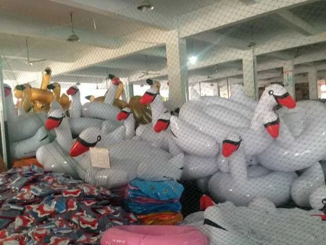 white swan floats