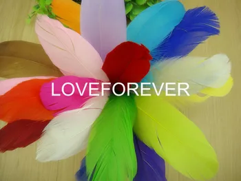 

300 Pcs DIY Natural Fluffy goose Feathers 19 colors home Christmas decoration clothing shoes hat hair accessories FREE SHIP