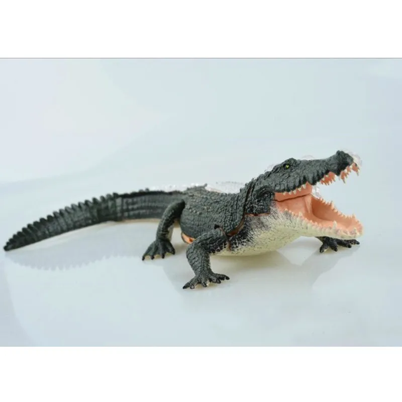 3D пазл Детский прозрачный игрушка сделай сам анатомия животного развивающая
