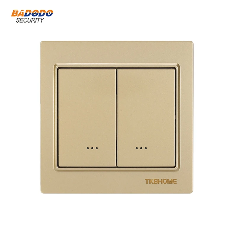 TZ55D gold