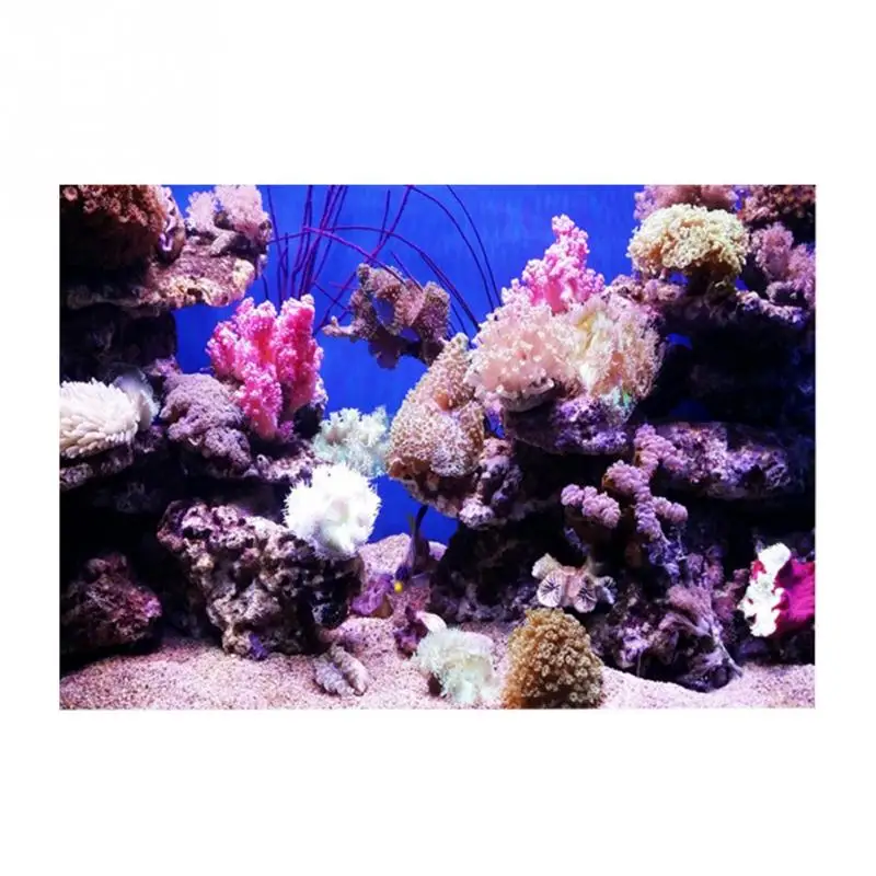 

3D Effect Adhesive Coral Seaworld Poster for Aquarium Fish Tank Decoration