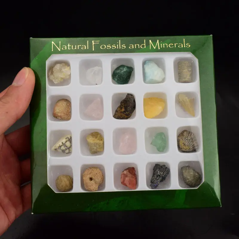 Oregistro Com Gravier Pour Jardin Mineral Idées De Conception Décor Minéral