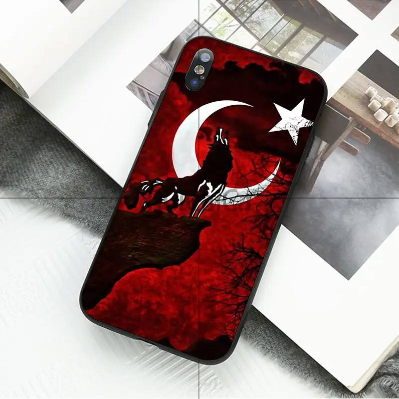Flag of Turkey Wolf