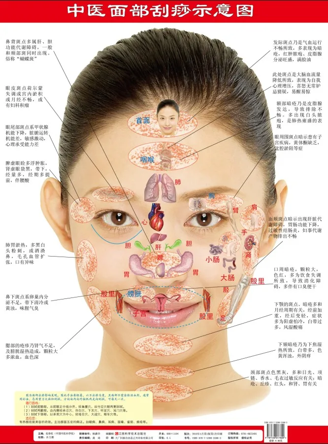 4 диаграммы зон отражения диаграммы рук, ног, лица, позвоночника. Домашний медицинский массаж, guasha, акупунктура, китайское издание