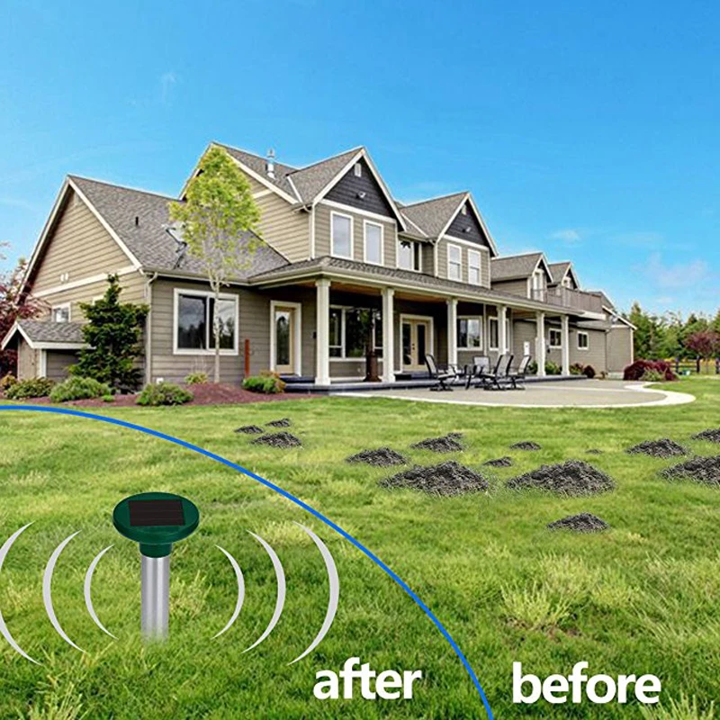 20180530103829_27278
