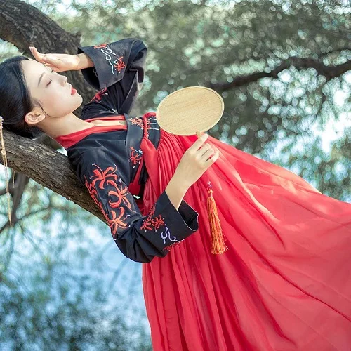 Hanfu костюм для китайских танцев, традиционный сценический наряд для певцов, женское Старинное платье, народный фестиваль, одежда для выступлений DC1133 - Цвет: STYLE 2