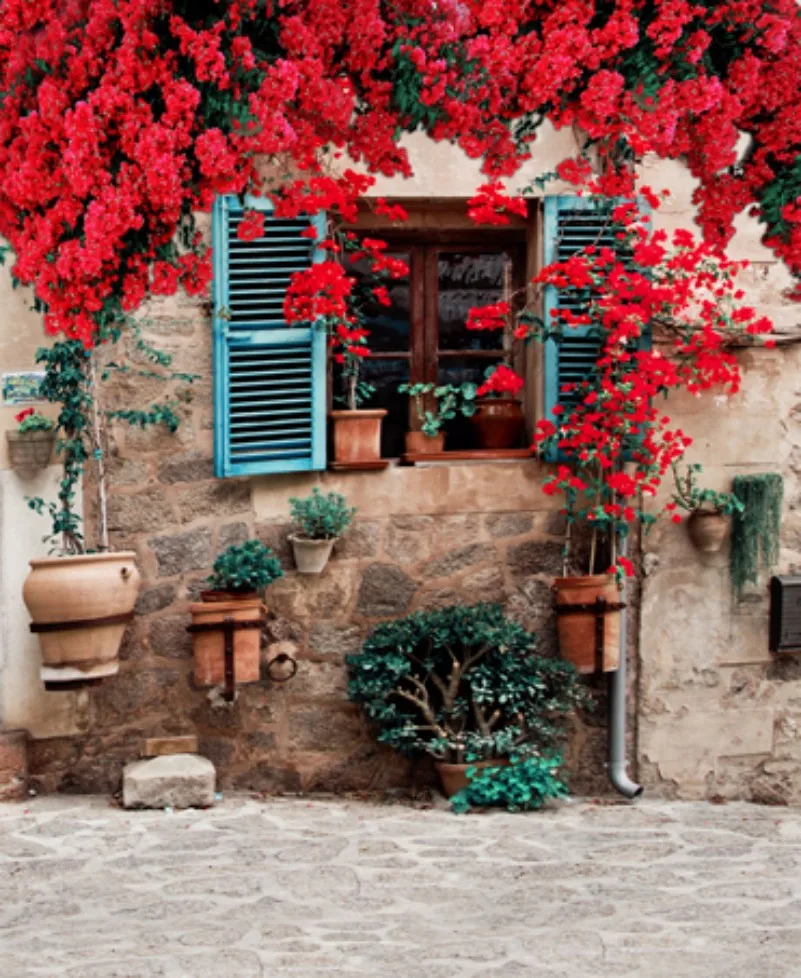 Window Red Flower Stone Cottage Coastal Patio Backgrounds Vinyl