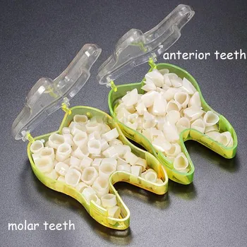 

50pcs/box Temporary Crown Anteriors Front Molar Posterior Tooth Nature Color Teeth Whitening Dental Materials Dentist