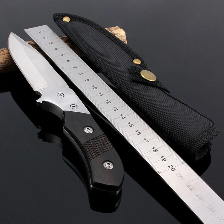 1913645426_731435421