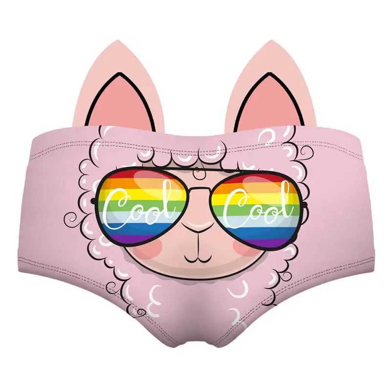 55110 llama rainbow sunglasess wiz back 
