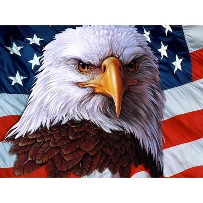 

diamond painting Eagle - American flag