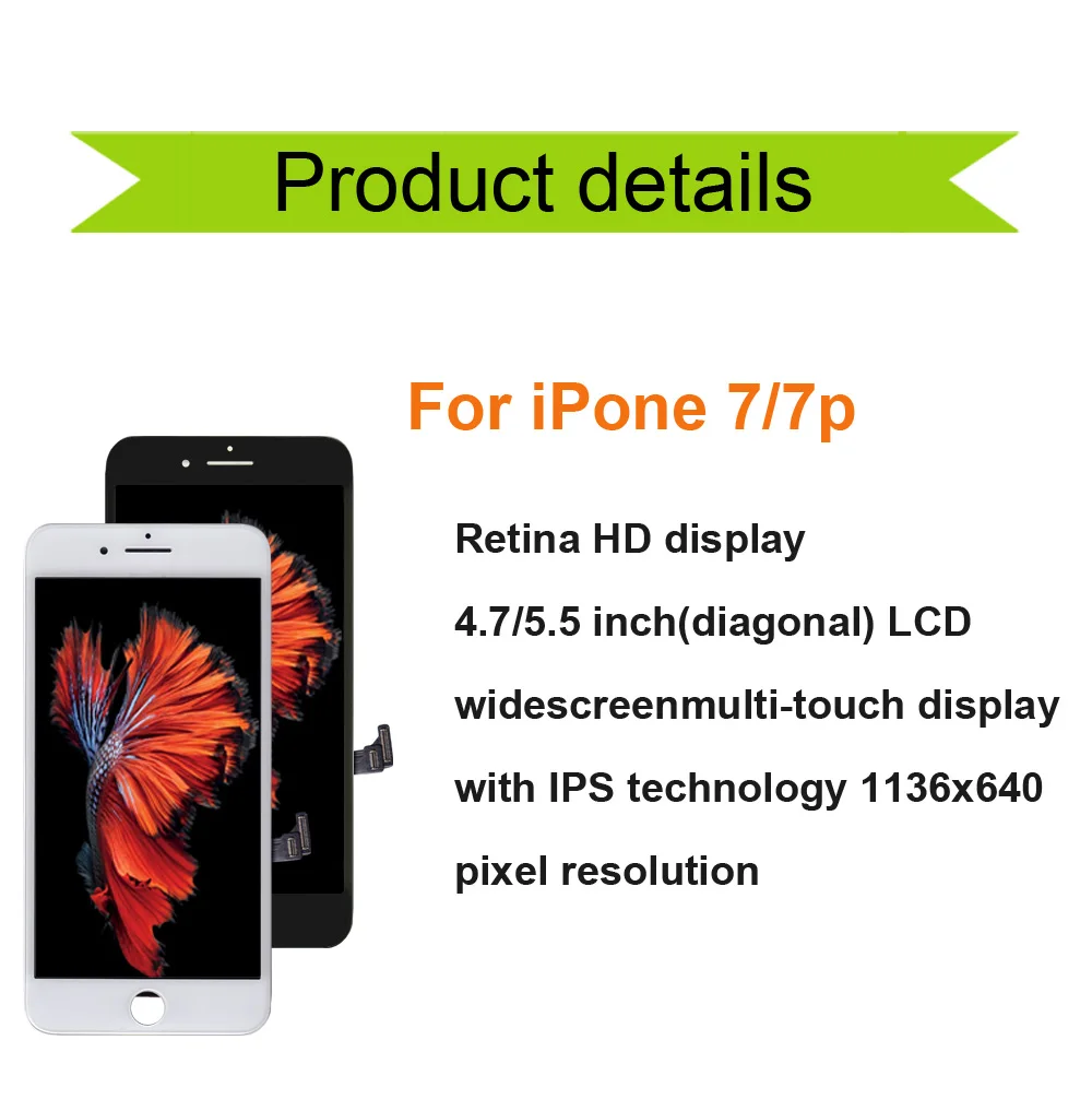 7--7p_03