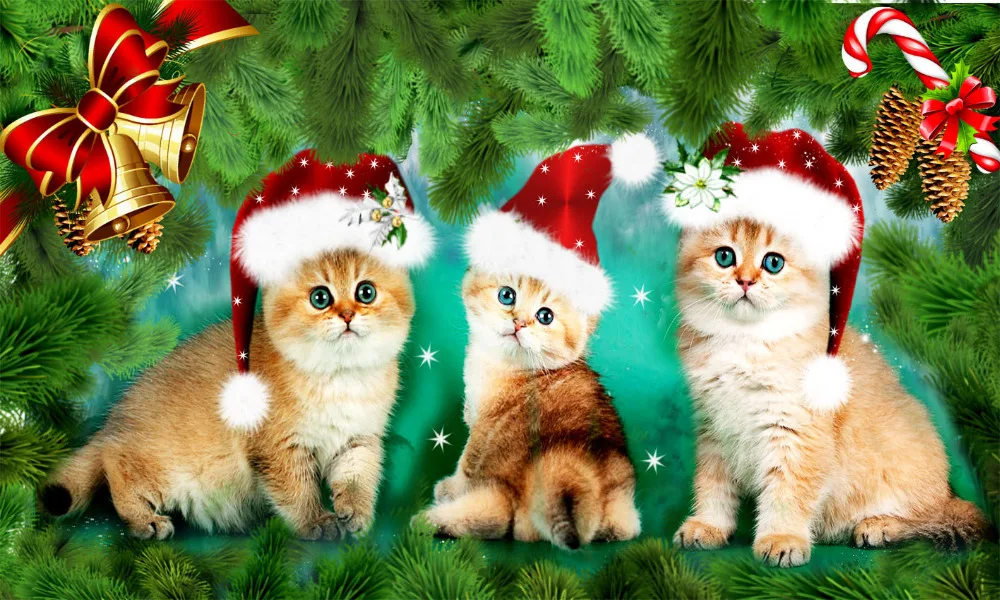 

3D DIY diamond embroidery painting cats Christmas full rhinestone diamond mosaic home decorative needlework diamant