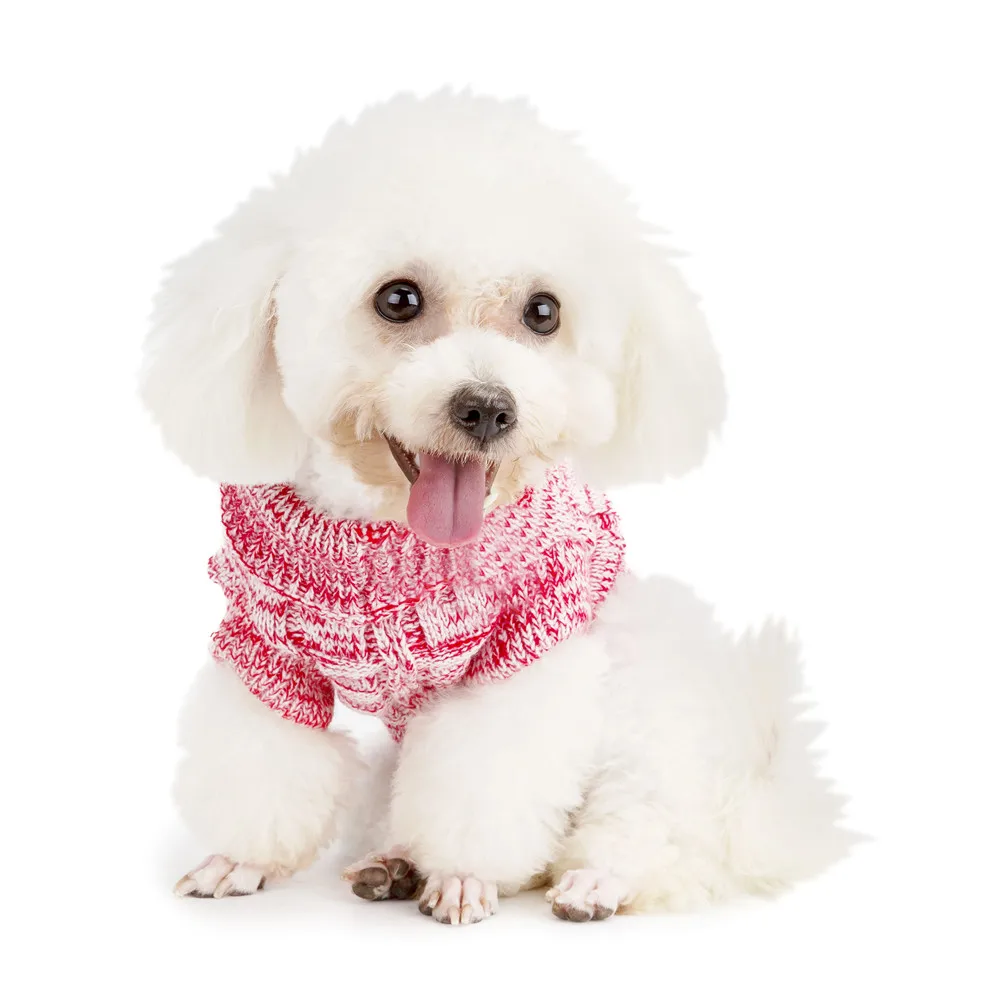 Winter Pet Dog Clothes (4)