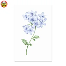 Картина по номерам художественная краска по номерам цератостима плюмагиноиды синие снежинки