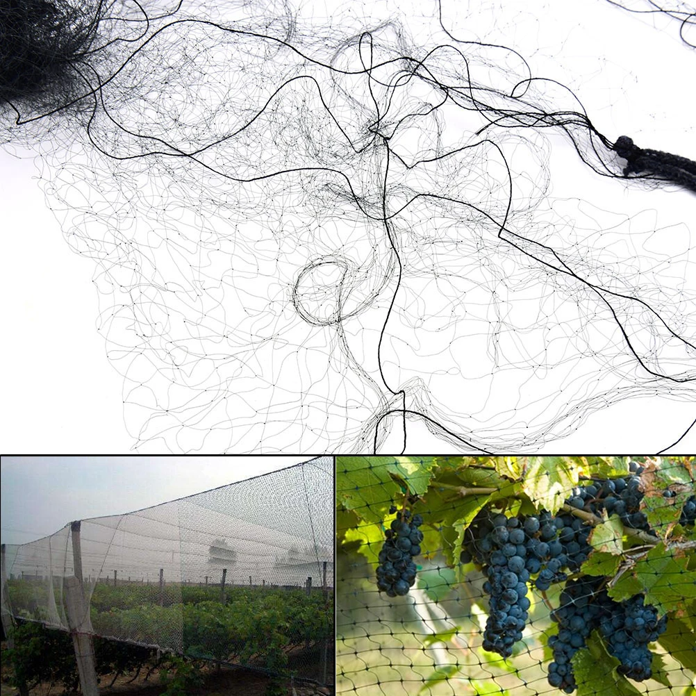 

network Agricultural Field Bird-Preventing Anti Bird Netting Net Mesh For Fruit Crop Black Plant Tree In Garden Anti-bird New