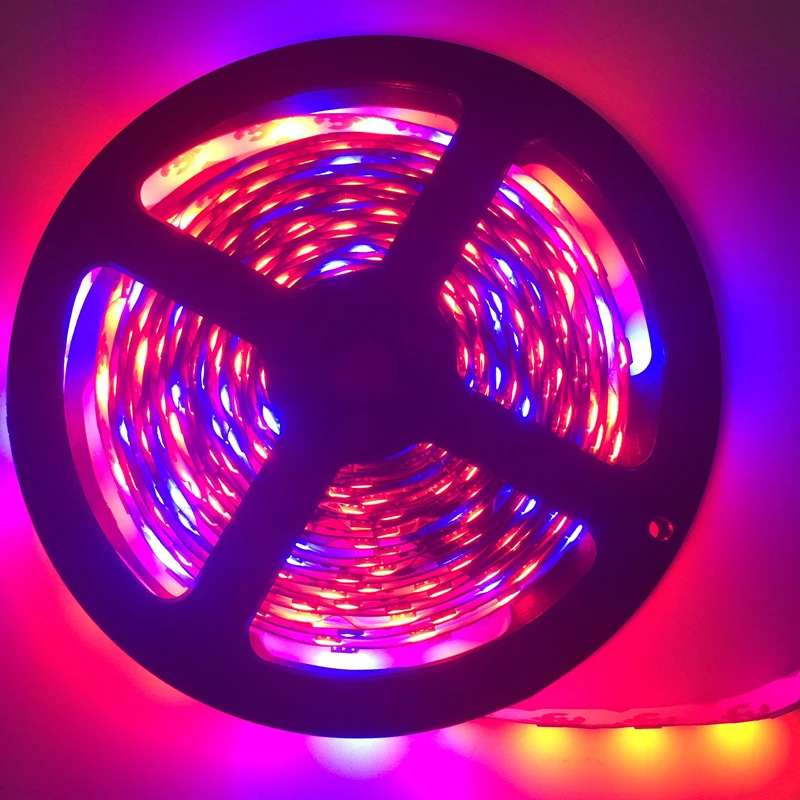 

5m/lot LED Plant Grow Light 5050 LED Flexible Strip DC12V Red Blue 4:1 for Greenhouse Hydroponic Plant Growing Lamp