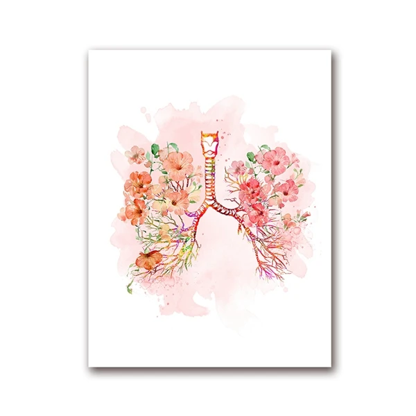 Lungs and Flower Print Bronchi Watercolor Medical Anatomy Lungs Wall Art Canvas Painting Anatomical Medicine Doctor Office Decor - Цвет: PH1228