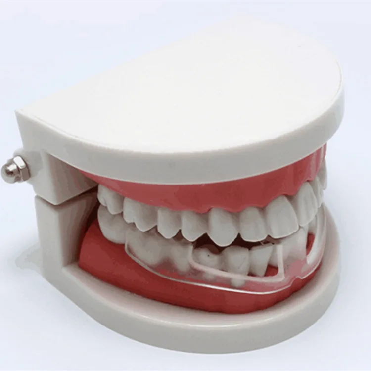 

Teeth Grinding Socket Beauty Dental Mouth Guard Bruxism Stop Clenching Sleep Aid Prevent Molar Braces Tools