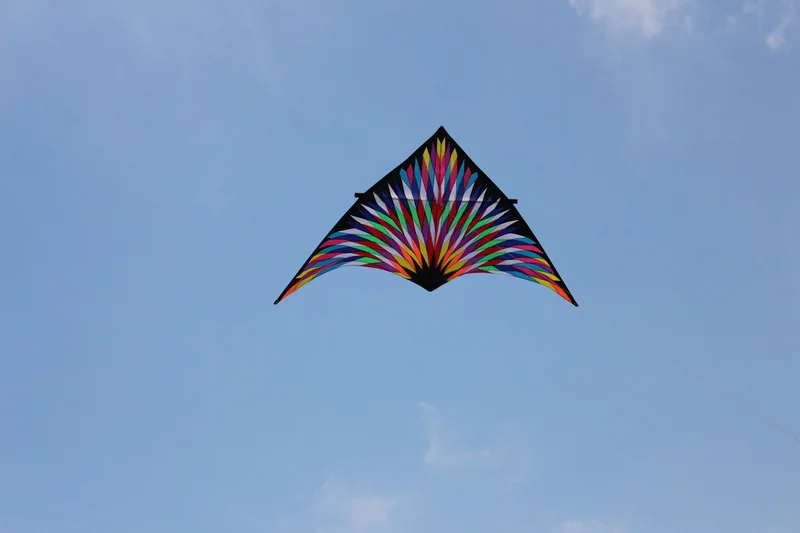 3808999572_1258532884