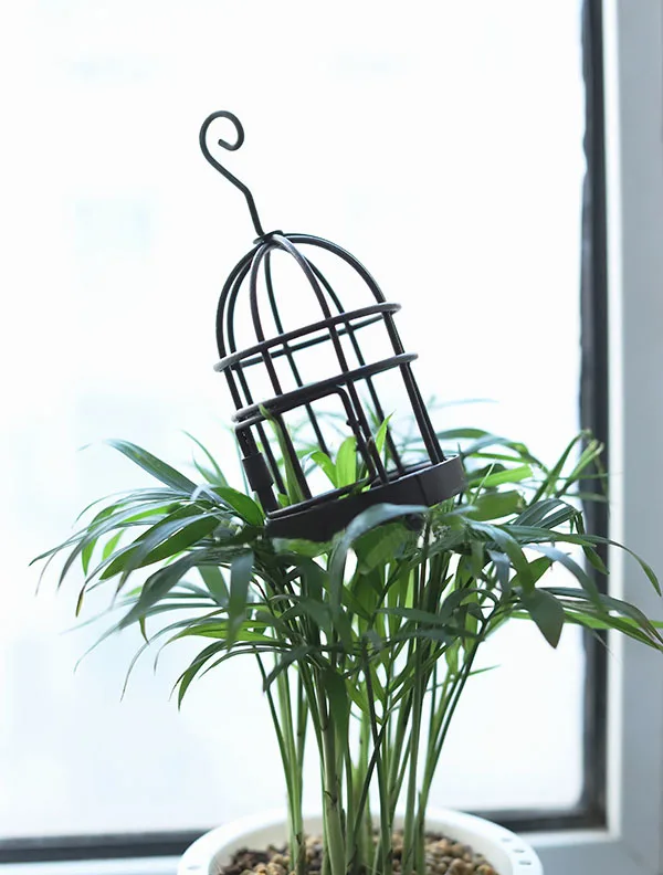 O1CN01ZB2xYw1WH2PEnZ9kx_!!12692762