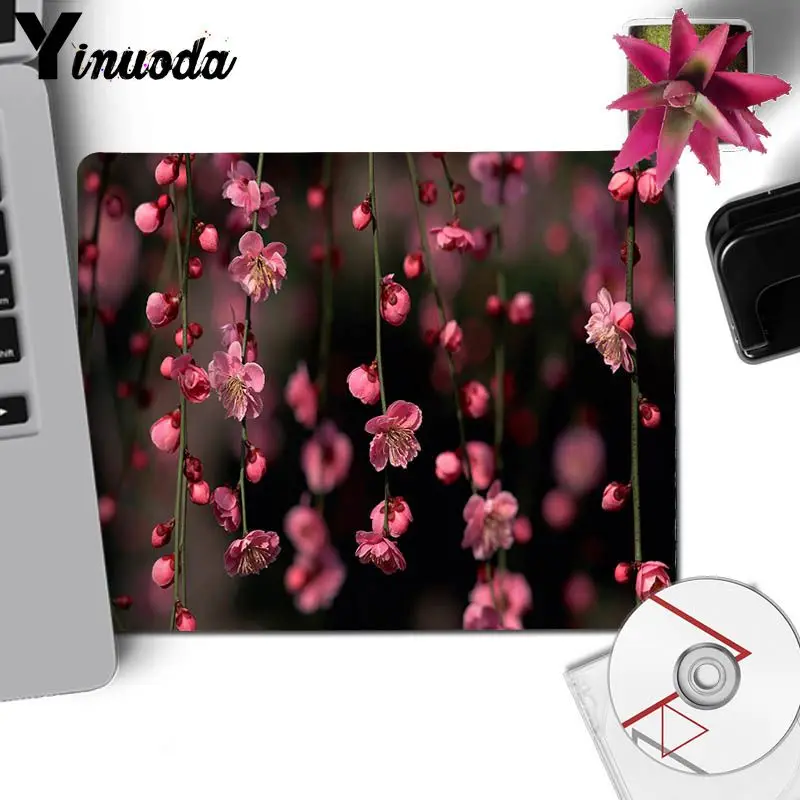 Unduh Kumpulan Wallpaper Bunga Laptop HD Unduh Kumpulan Wallpaper Bunga Laptop HD