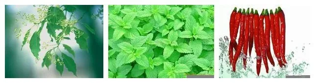 aeProduct.getSubject()