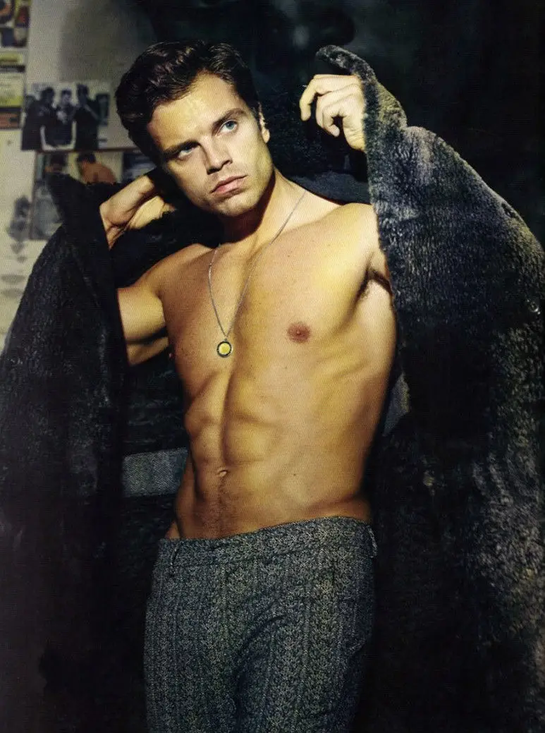 Home Decor Sebastian Stan Actor Star 4-Silk Art Poster Wall Sicker Decoration Gift