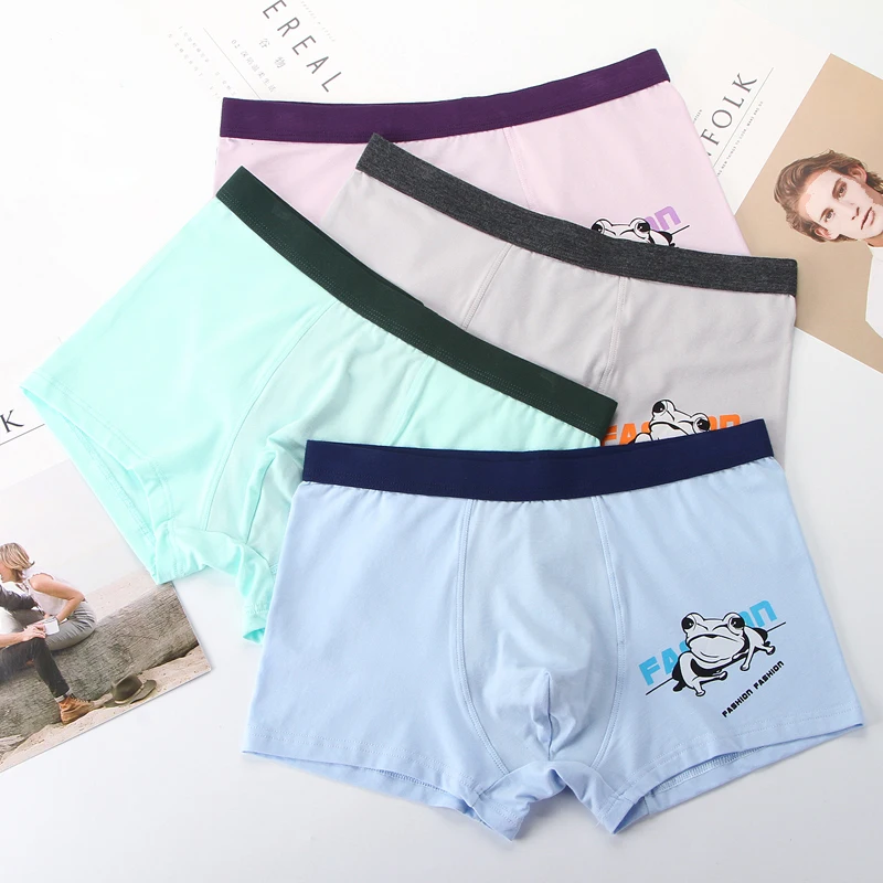 Funny Boxers Men Underwear Underpants Boxer Shorts Bamboo Animal Print Frog Panties Cute Men Calzoncillos Hombre Trunks 4pcslot.02