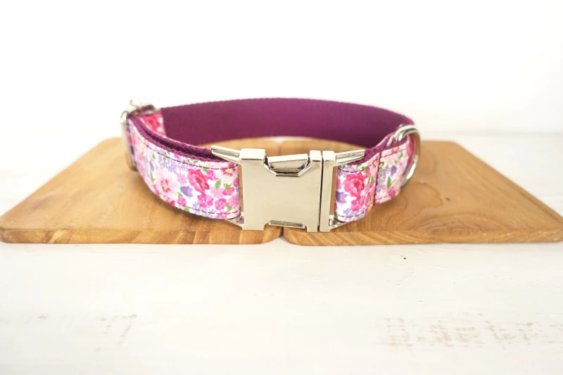 Pet Dog Collar and Leash (3)