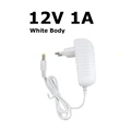 12V 1A EU Plug