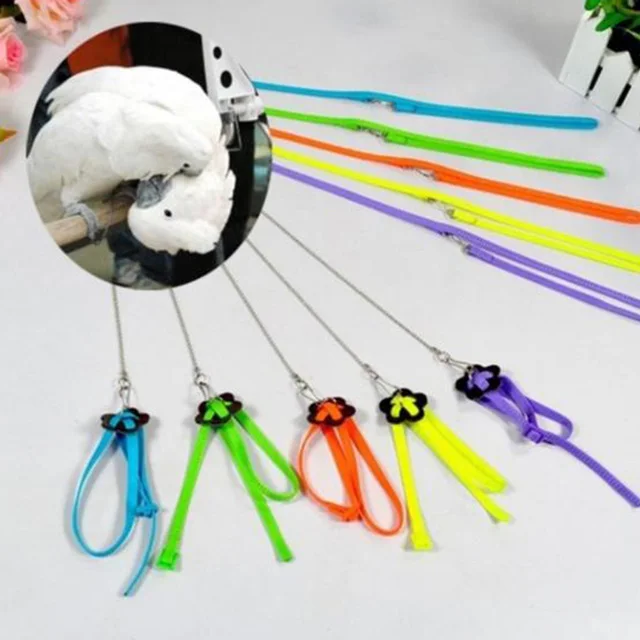 1pcs Adjustable Parrot Leash Pet Lizard Birds Harness Leash Outdoor