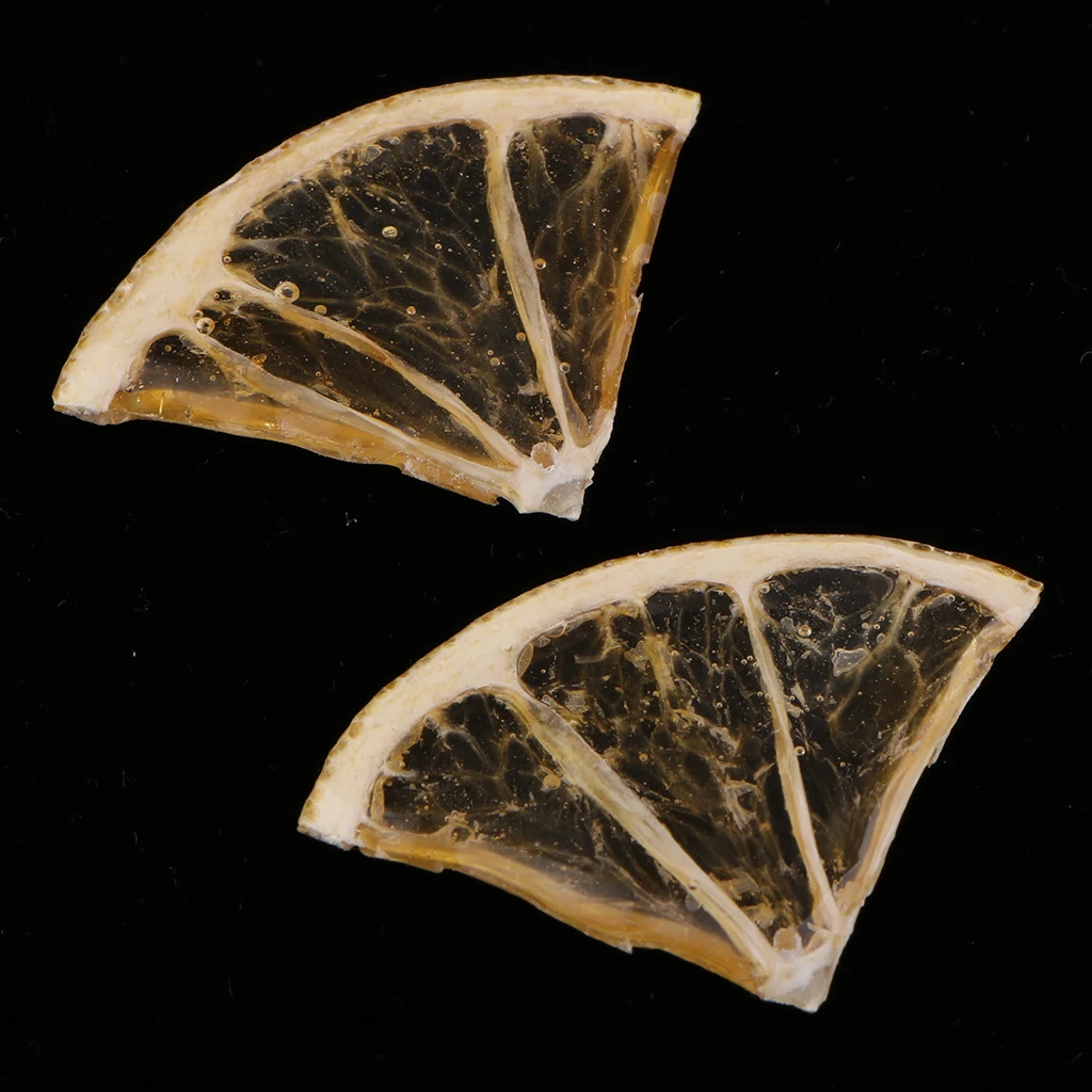 2 Pieces CUTE Dried Orange Slices Charms with Liquid Resin Covered Pre-drilled for DIY Earrings Pendant Jewelry Making Findings