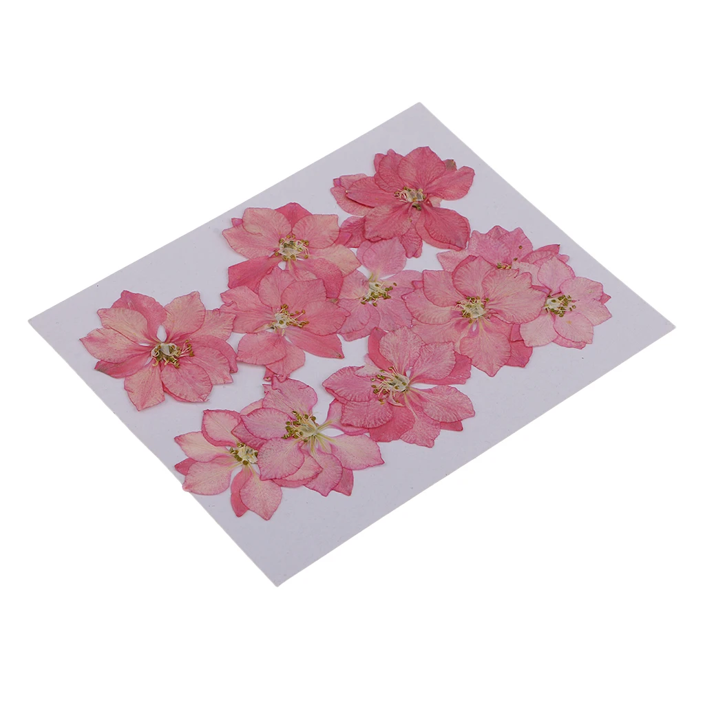 12 Pieces Pressed Dried Real Flower Larkspur for Bookmark Card Making and Resin Casting Handmade Scarpbooking Craft 