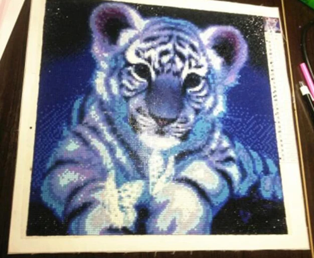 QQ截图20190312174956