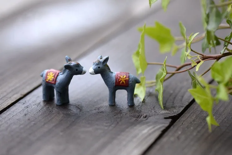 2159170335_394298364