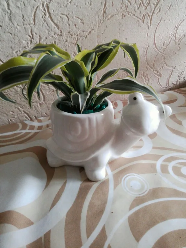 animal branco porcelana suculenta plantas vaso de