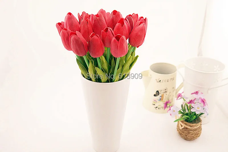 SAM_6431
