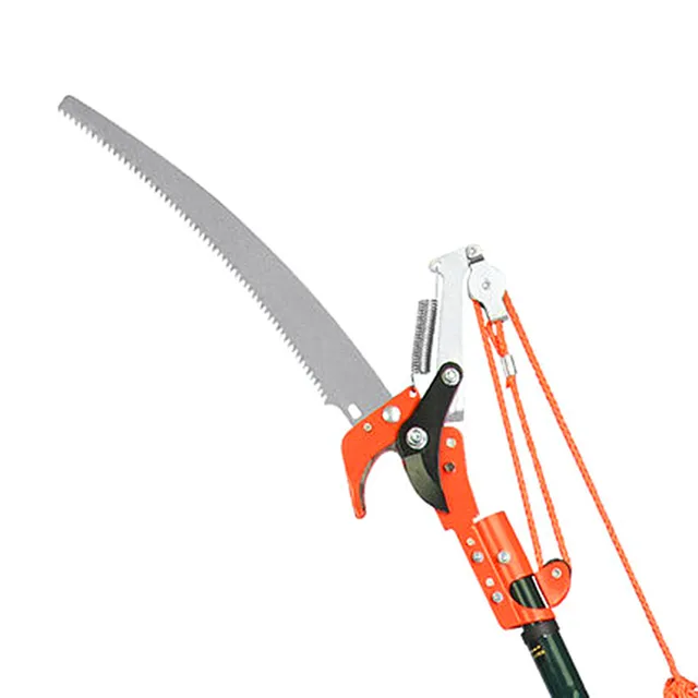 what product can you put on a cut tree limb