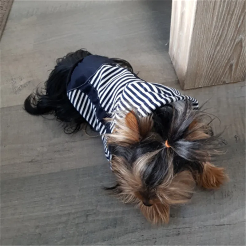 Dog Clothes Stripe Hoodies Warm Pet Coat Outfit for Small Large Dogs Chihuahua Clothing Golden Retriever Coat Jacket1