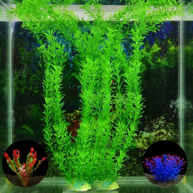 background aquarium plants