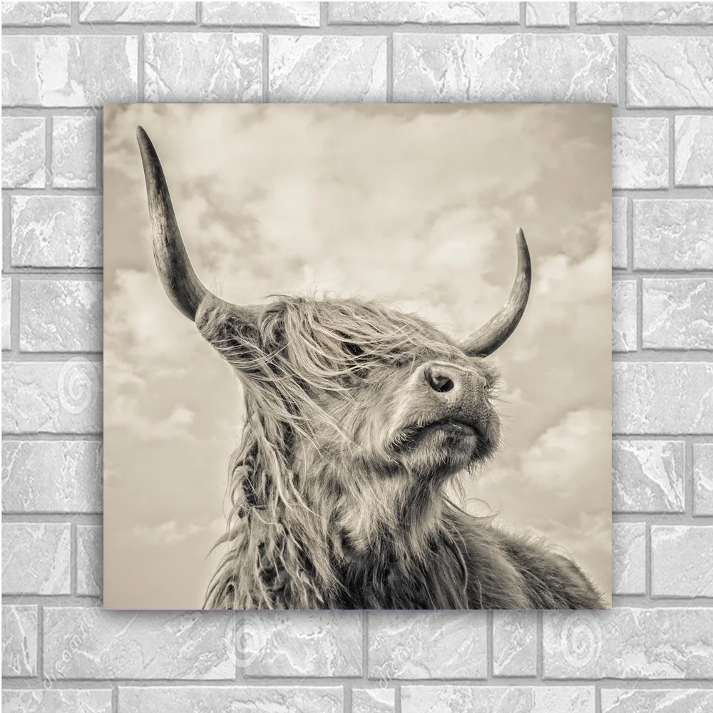 

SCOTTISH HIGHLAND COW Animal Art Poster Canvas Painting Wall Pictures for Living Room