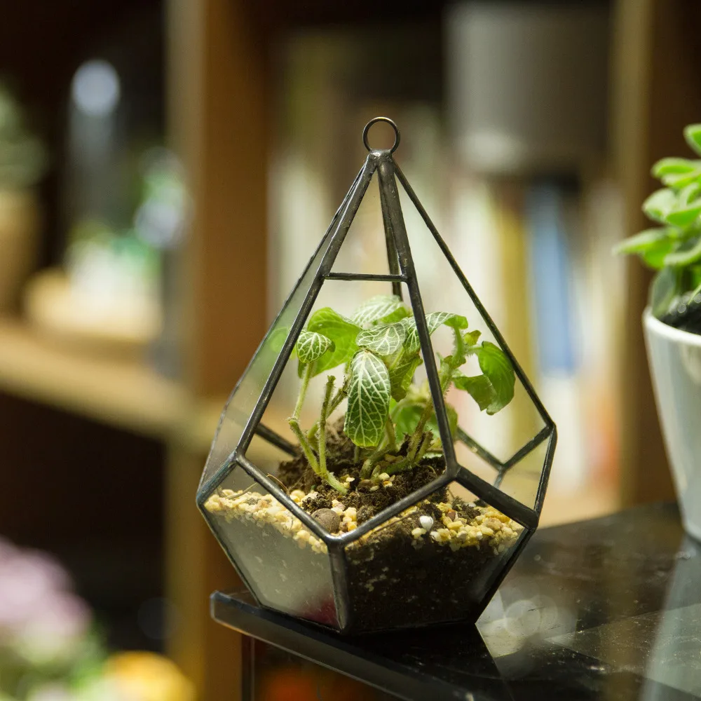 flowerpot ORCHID glass cachepot clear 13.5cm