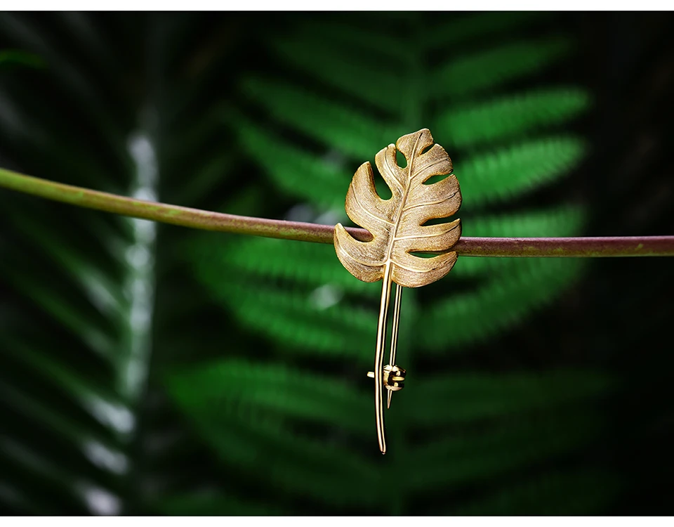 LFJK0042-Monstera-Leaves_04