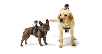 

The Pet dog chest shoulder straps use for Sports cameras GP203