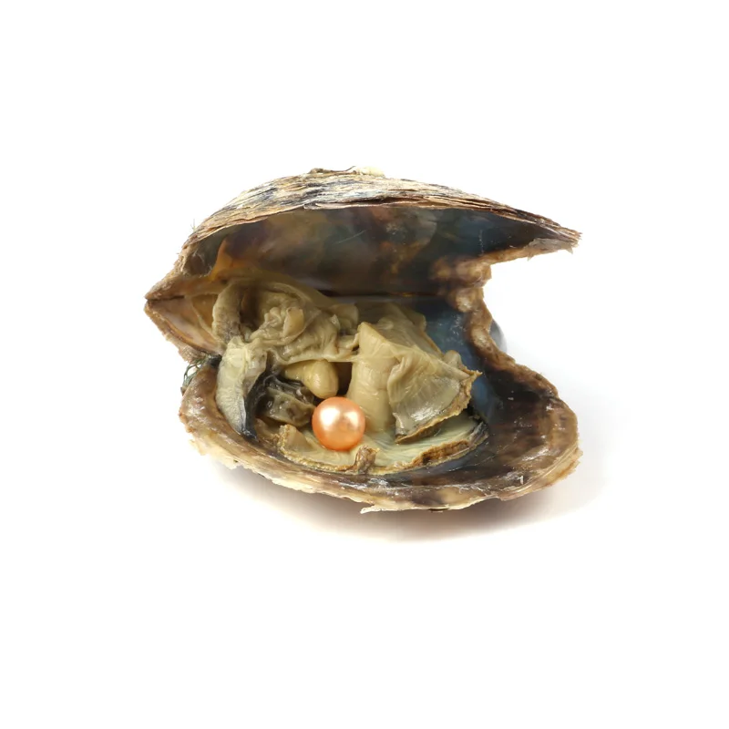 10 шт Oyster соленая вода с круглым жемчугом внутри случайный цвет(6,5-7,5 мм