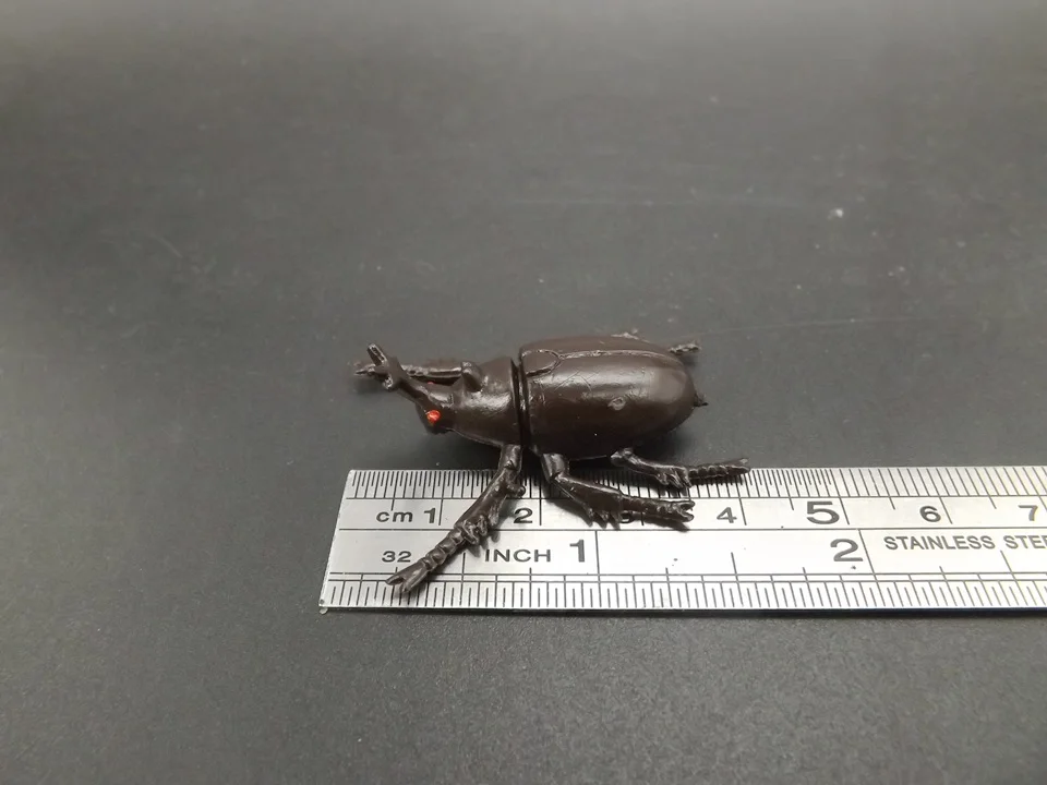 J175-Beetle (8)