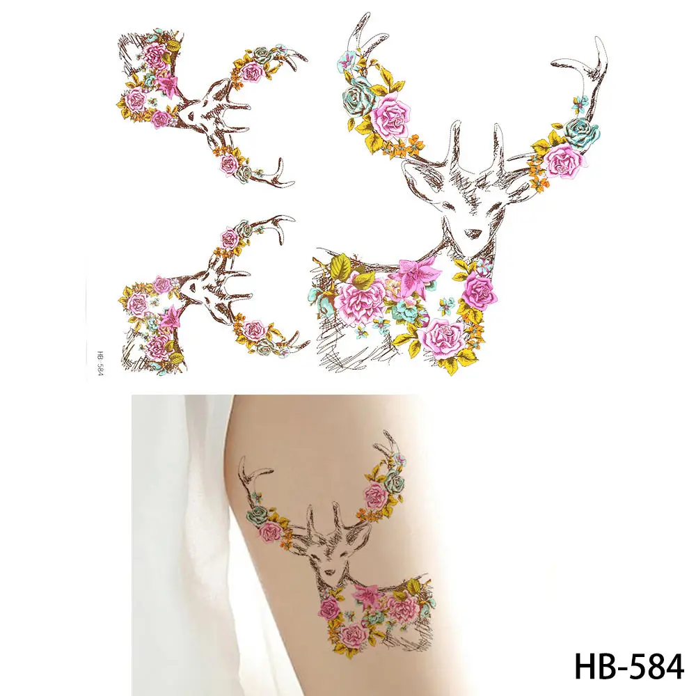 HB-584